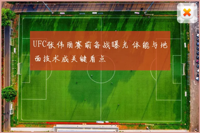 UFC张伟丽赛前备战曝光 体能与地面技术成关键看点