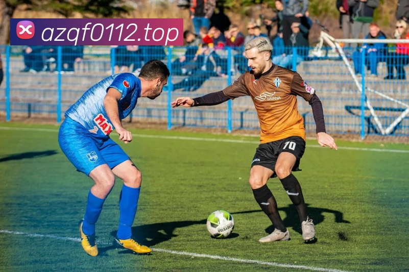 新爱体育官网平台生态图